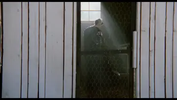 Zasłona do filmu "Świadek" #672991