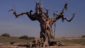 Zasłona do filmu "Conan Barbarzyńca" #624547