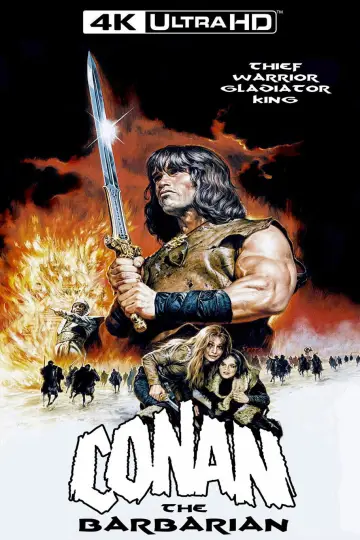 Plakat do filmu "Conan Barbarzyńca" #624589