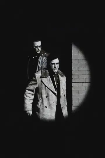 Plakat do filmu "Donnie Brasco" #737189