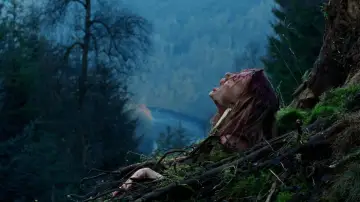 Zasłona do filmu "Zejście" #532035