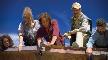 Zasłona do filmu "Wstrząsy" #255627