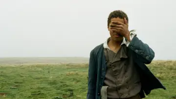 Zasłona do filmu "Wichrowe wzgórza" #396663