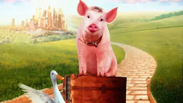 Zasłona do filmu "Babe: Świnka w mieście" #389026