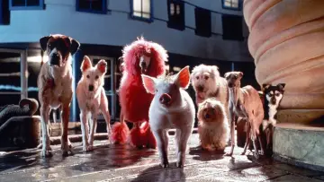 Zasłona do filmu "Babe: Świnka w mieście" #389029