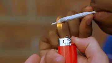 Zasłona do filmu "Żółtodzioby" #937950