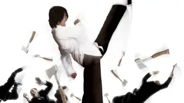 Zasłona do filmu "Kung Fu Szał" #215744