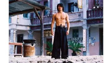 Zasłona do filmu "Kung Fu Szał" #215750