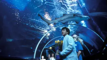 Zasłona do filmu "Jackie Chan: Pierwsze uderzenie" #810438