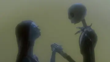 Zasłona do filmu "Jack i Sally Koszmar przed świętami" #589493