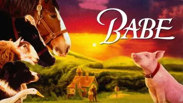 Zasłona do filmu "Babe - świnka z klasą" #115743