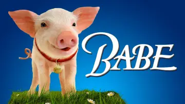 Zasłona do filmu "Babe - świnka z klasą" #115745