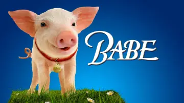 Zasłona do filmu "Babe - świnka z klasą" #115746