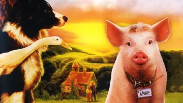 Zasłona do filmu "Babe - świnka z klasą" #298234