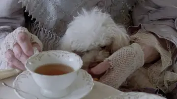 Zasłona do filmu "Małe kobietki" #855382