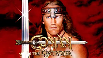 Zasłona do filmu "Conan Niszczyciel" #86692