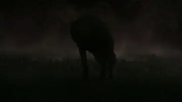 Zasłona do filmu "Kobieta w błękitnej wodzie" #897706