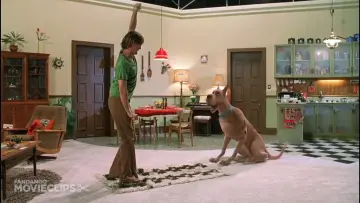 Zasłona do filmu "Scooby-Doo" #842965