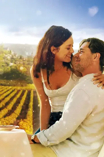Plakat do filmu "Dobry rok" #343066