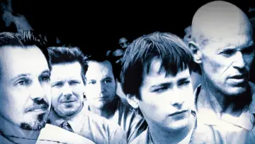 Zasłona do filmu "Gniazdo os" #1092008