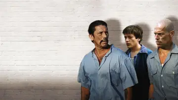 Zasłona do filmu "Gniazdo os" #1838522
