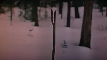 Zasłona do filmu "Dersu Uzała" #751356