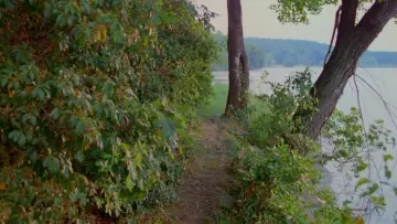 Zasłona do filmu "Piątek trzynastego 2" #1895026