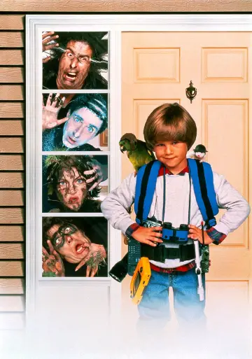 Plakat do filmu "Alex – sam w domu" #698495
