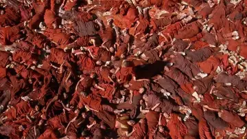 Zasłona do filmu "Kundun - życie Dalaj Lamy" #702180