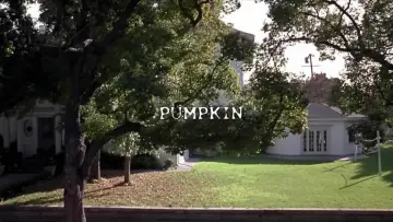 Zasłona do filmu "Pumpkin" #1128634