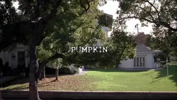 Zasłona do filmu "Pumpkin" #1128641