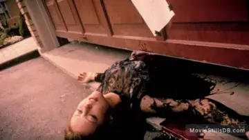 Zasłona do filmu "Zdjęcia Ginger" #1829449