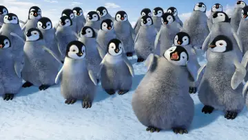 Zasłona do filmu "Happy Feet: Tupot małych stóp" #480768