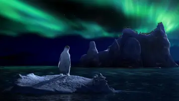 Zasłona do filmu "Happy Feet: Tupot małych stóp" #480770