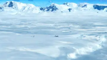 Zasłona do filmu "Happy Feet: Tupot małych stóp" #671400