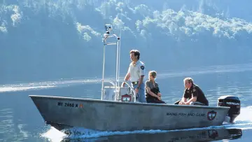 Zasłona do filmu "Aligator" #1800585