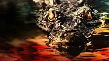 Zasłona do filmu "Aligator" #341533