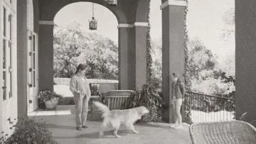 Zasłona do filmu "Nie wierzcie bliźniaczkom" #1530137