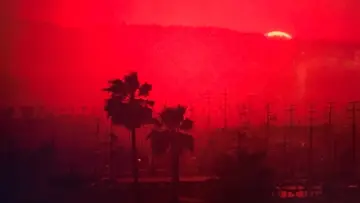 Zasłona do filmu "Żyć i umrzeć w Los Angeles" #674922
