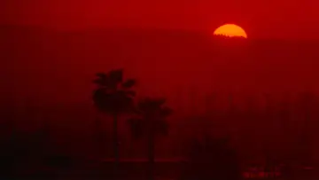 Zasłona do filmu "Żyć i umrzeć w Los Angeles" #674926