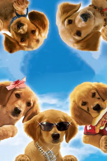 Plakat do filmu "Drużyna Buddiego" #353921