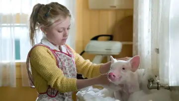 Zasłona do filmu "Pajęczyna Charlotty" #297936