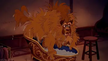 Zasłona do filmu "Piękna i Bestia" #168842