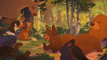 Zasłona do filmu "Mój brat niedźwiedź" #229412