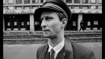 Zasłona do filmu "Człowiek pogryzł psa" #232200
