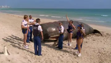 Zasłona do filmu "Reno 911!: Miami" #382599