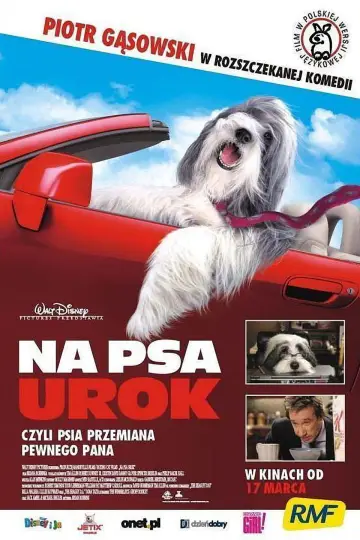 Plakat do filmu "Na psa urok" #945296