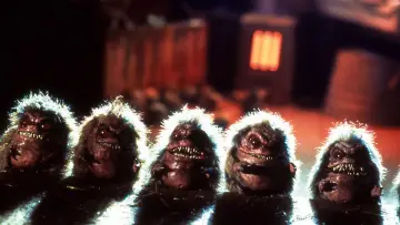 Zasłona do filmu "Critters 2" #380453