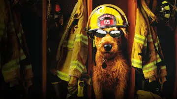 Zasłona do filmu "Firehouse Dog" #429242