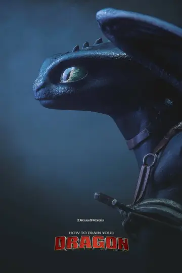 Plakat do filmu "Jak wytresować smoka" #1206680